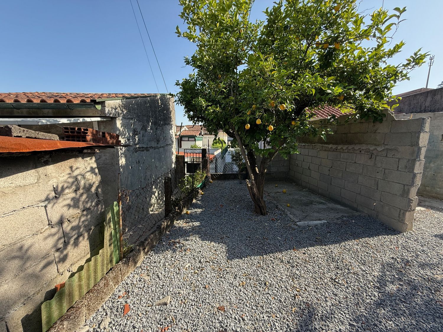 出租房间在Bairro Pimenta Machado, 28 - 花园