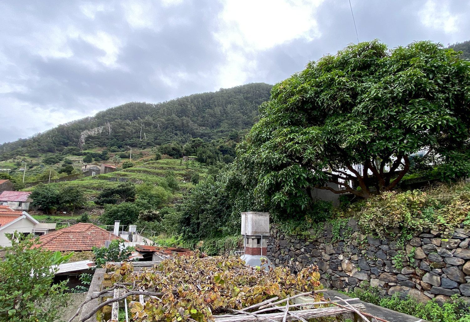 小楼房或独栋别墅出售在Estrada Dom Manuel I, 125 - 视线