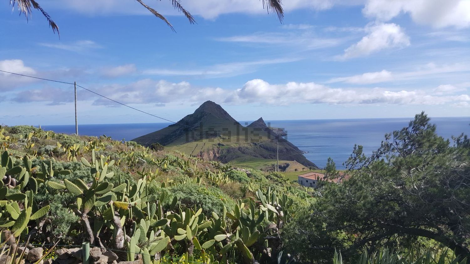 小楼房或独栋别墅出售在Porto Santo - 视线
