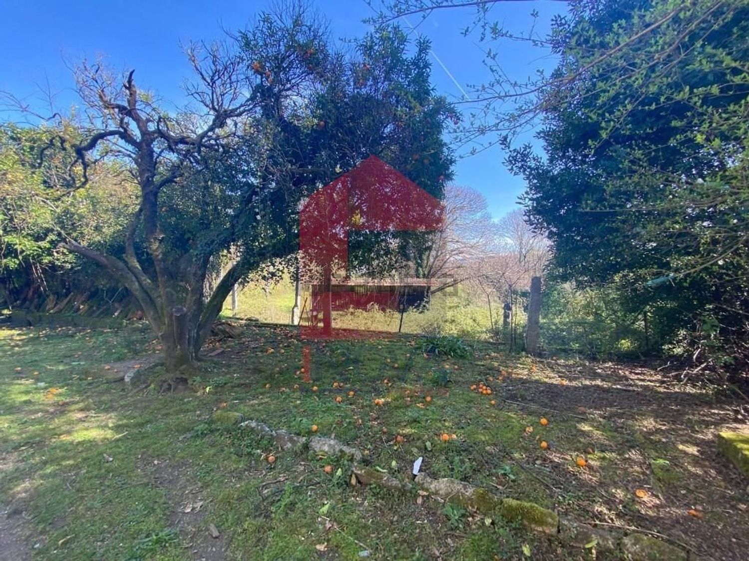 小楼房或别墅出售在Ribeira do Neiva - 花园