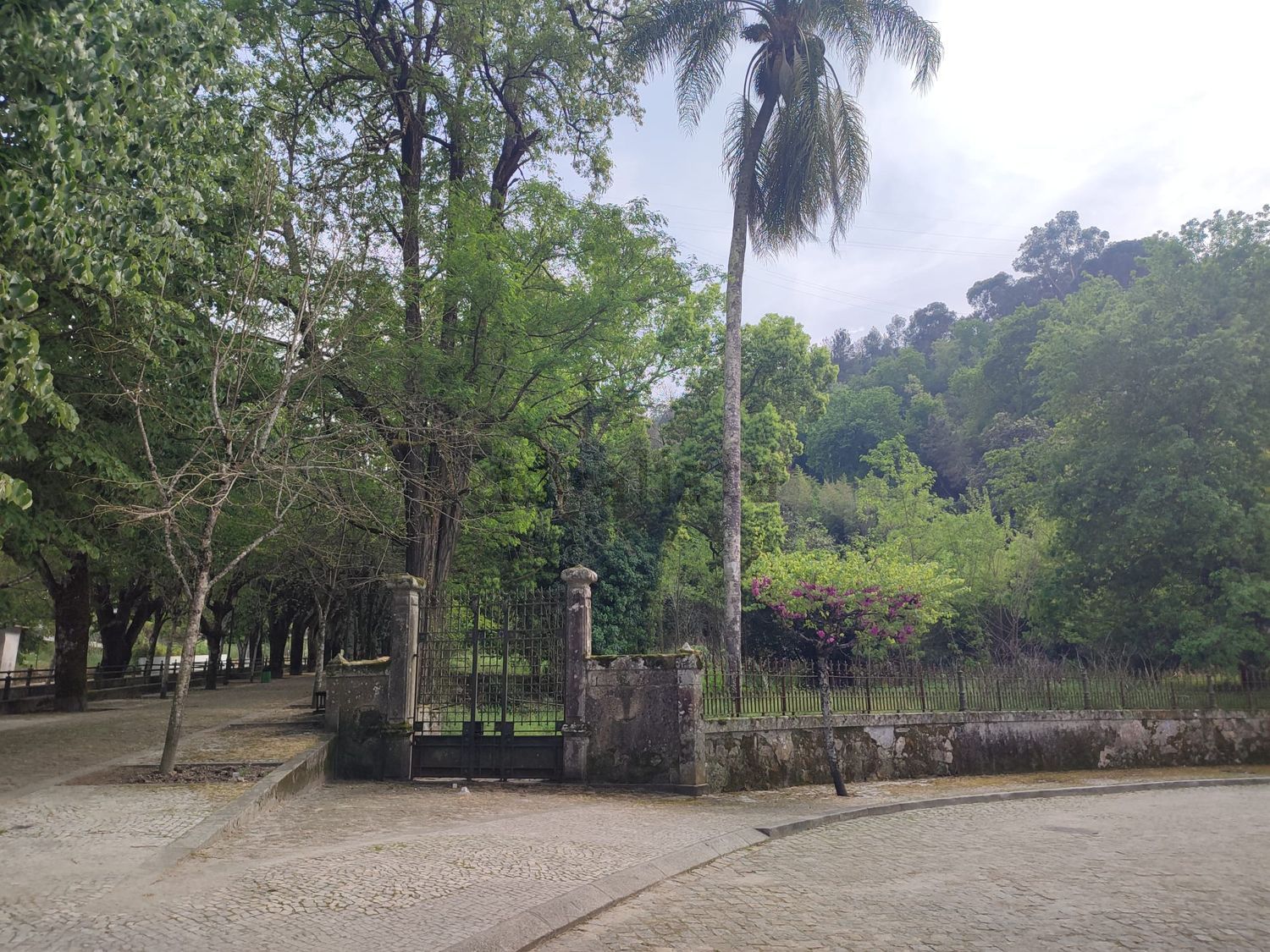 小楼房或独栋别墅出售在Travessa de Cimo do Povo, 91 - 花园