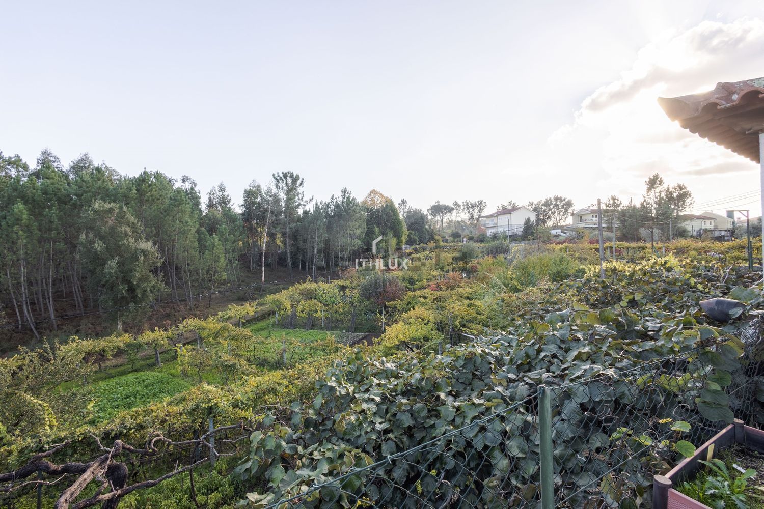 小楼房或别墅出售在Amarante (São Gonçalo) - Madalena - Cepelos - Gatão - 花园