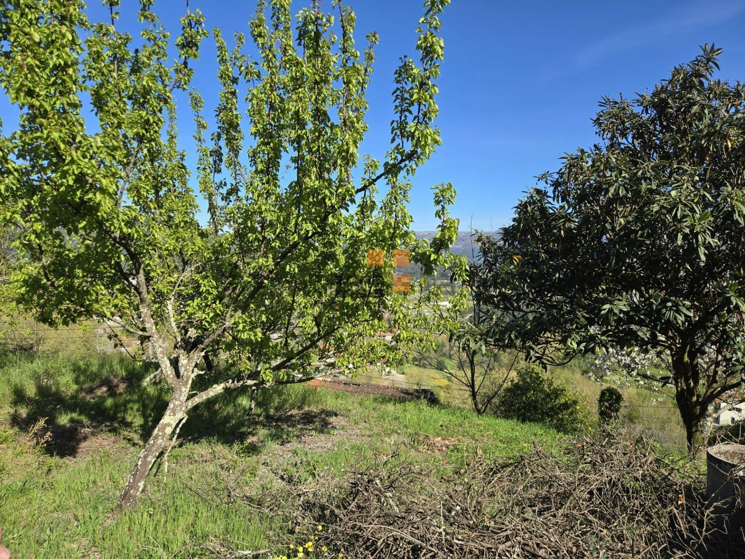 小楼房或独栋别墅出售在Vale de Bouro - 花园