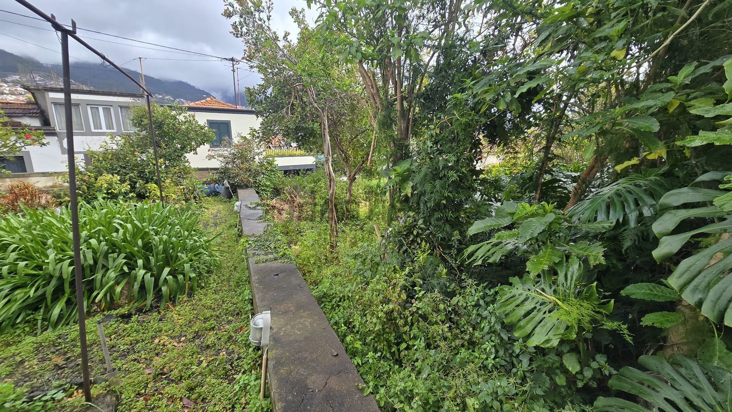 小楼房或独栋别墅出售在Caminho de Santo António - 花园