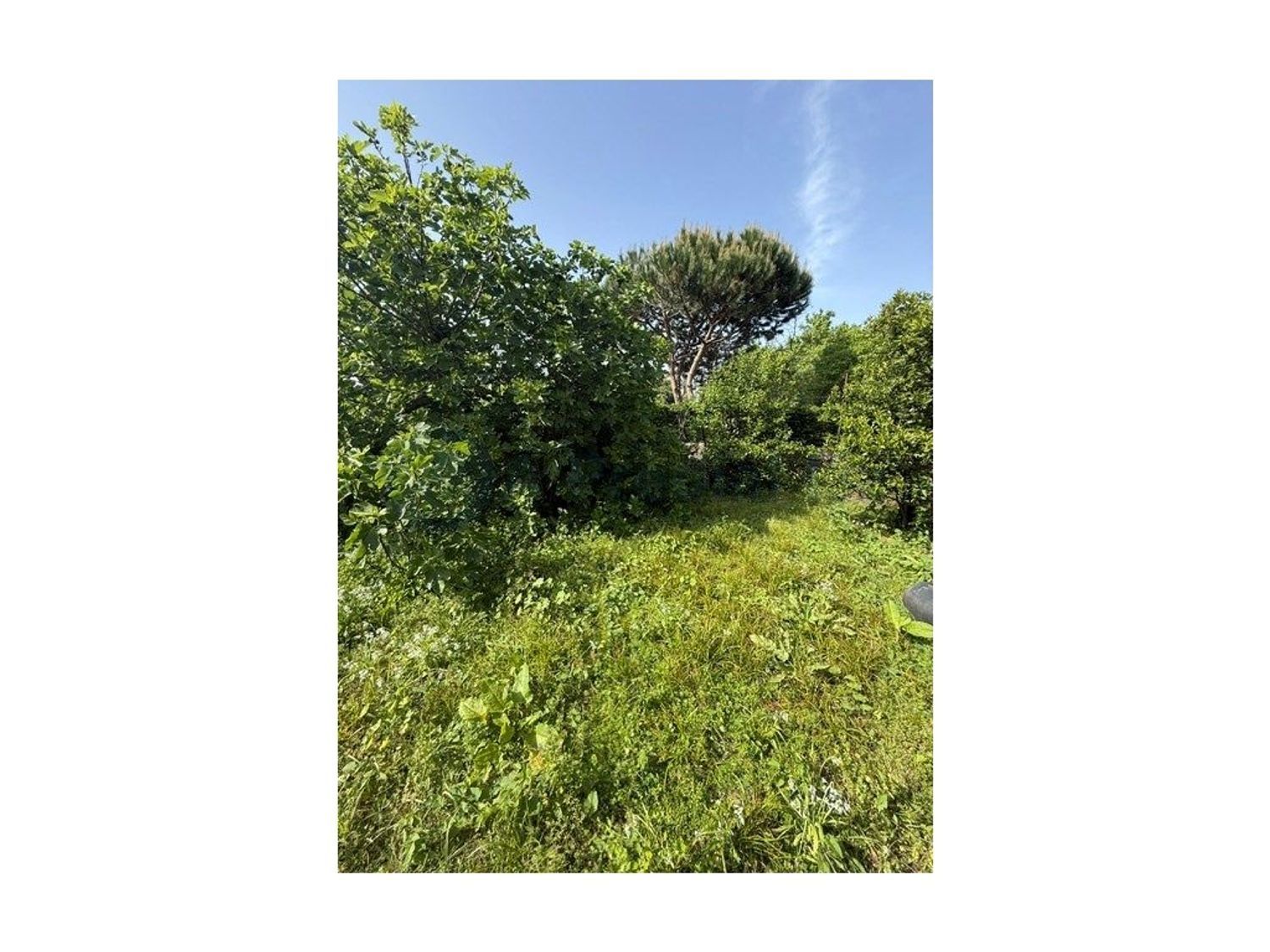 小楼房或独栋别墅出售在Rua de Recarei - 花园