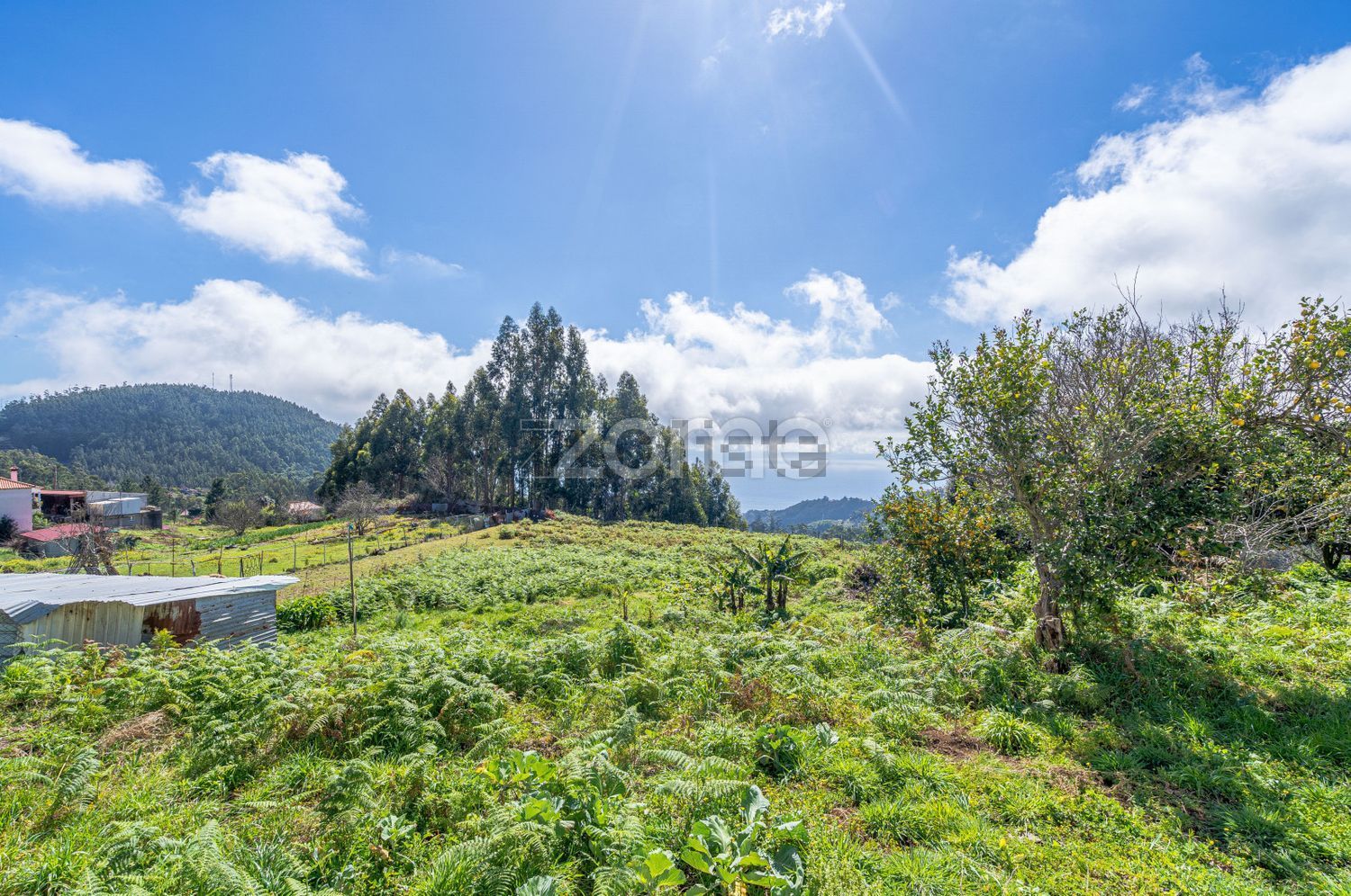 小楼房或独栋别墅出售Vereda da Rocha - 花园