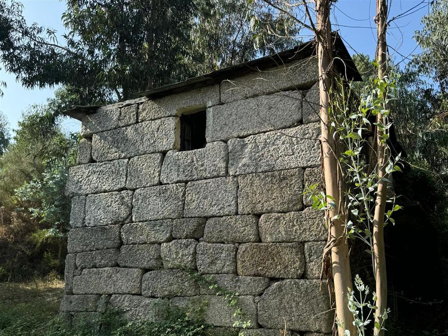 庄园出售在Rua Costa Grande de Cima, 100 - 外立面