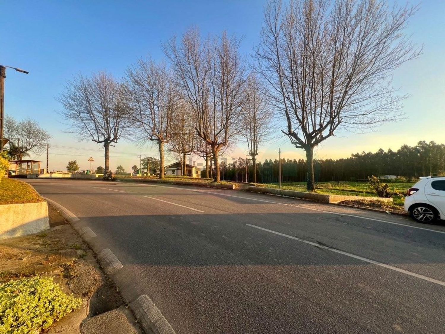 小楼房或独栋别墅出售在Rua Paulo VI - 花园