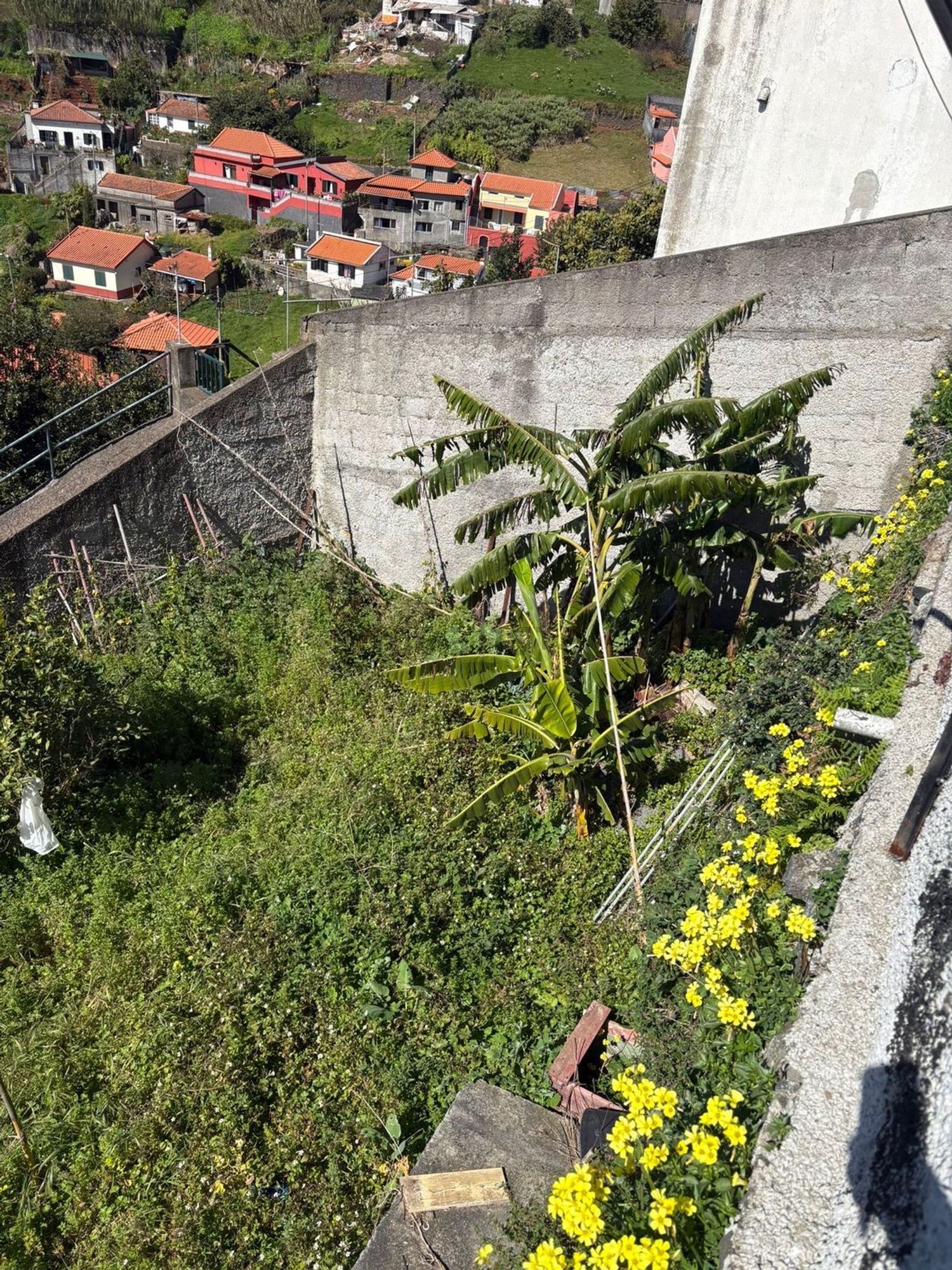 小楼房或独栋别墅出售在Caminho da fonte do Pereira, 7 - 花园