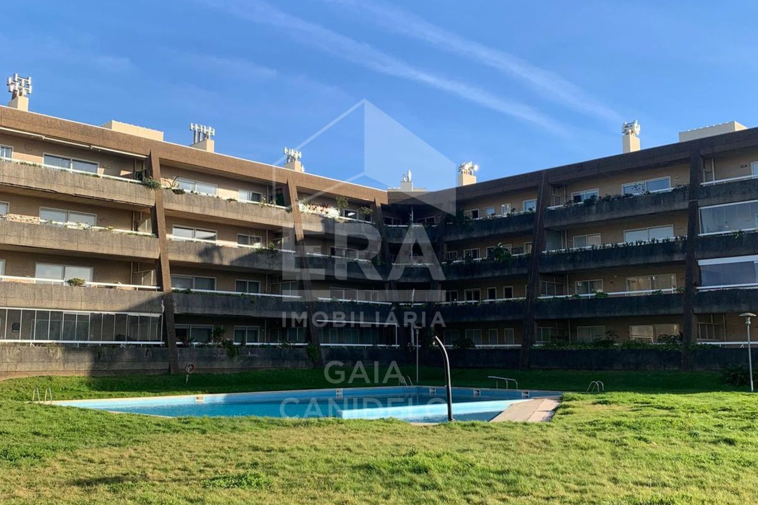出租公寓 t1在 Praia - 游泳池