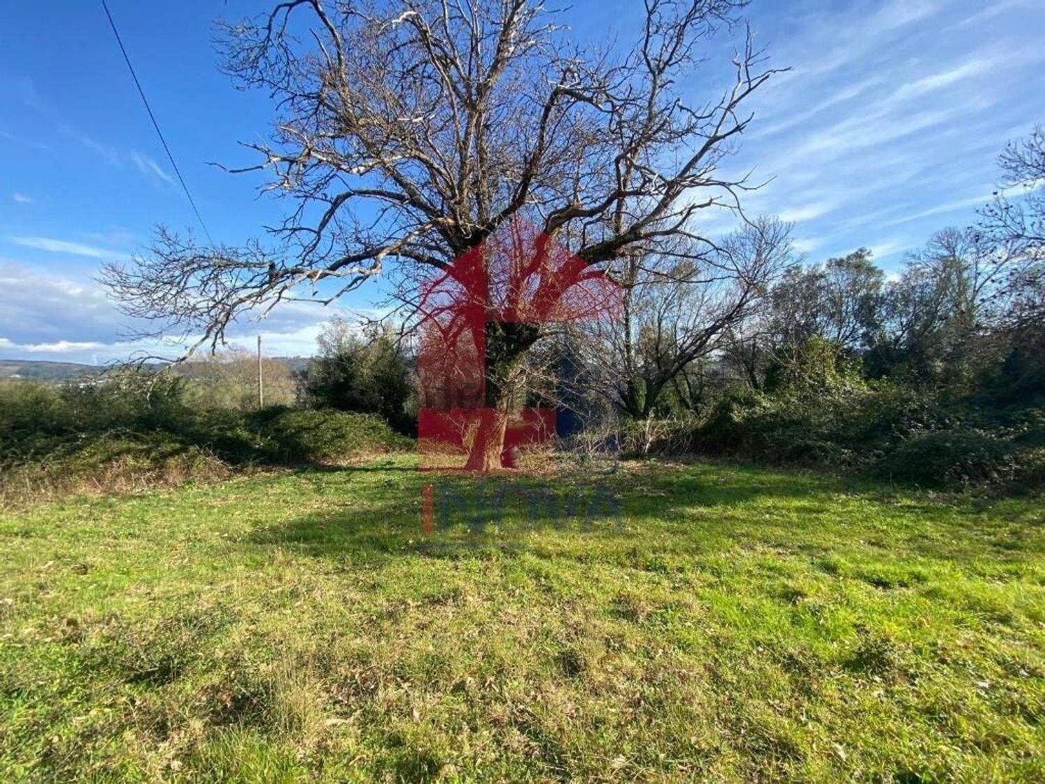 小楼房或别墅出售在Ribeira do Neiva - 花园