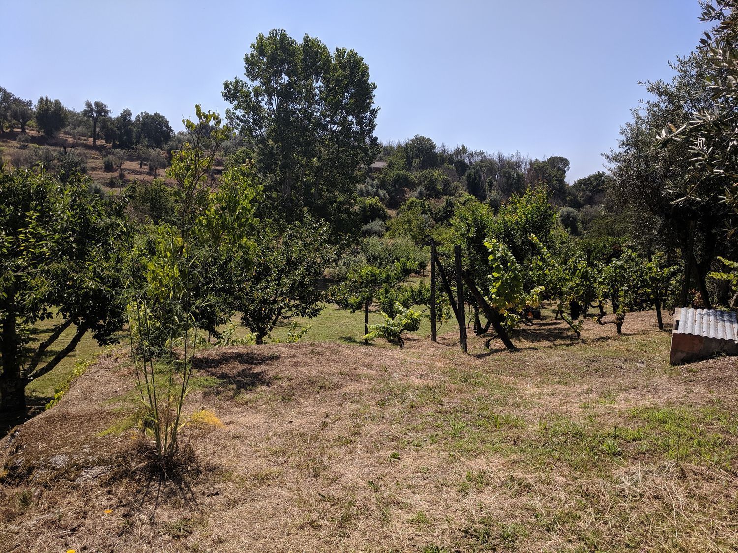 庄园出售在Rua Castanheiro Longo, 4 - 花园