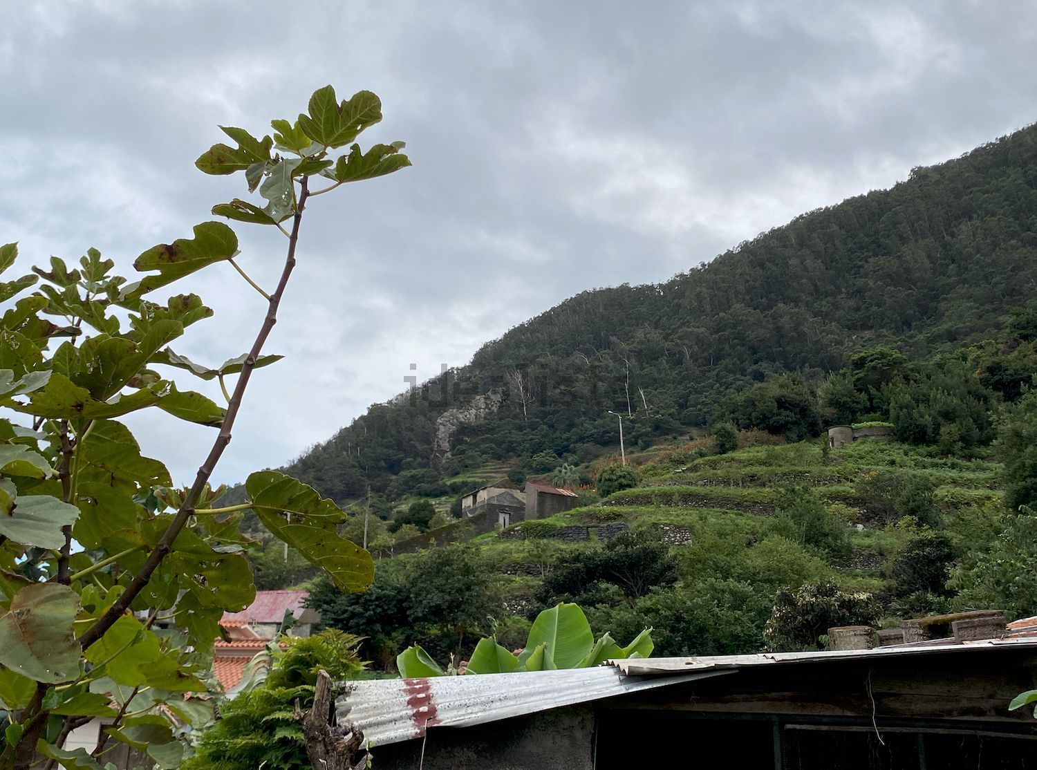 小楼房或独栋别墅出售在Estrada Dom Manuel I, 125 - 视线