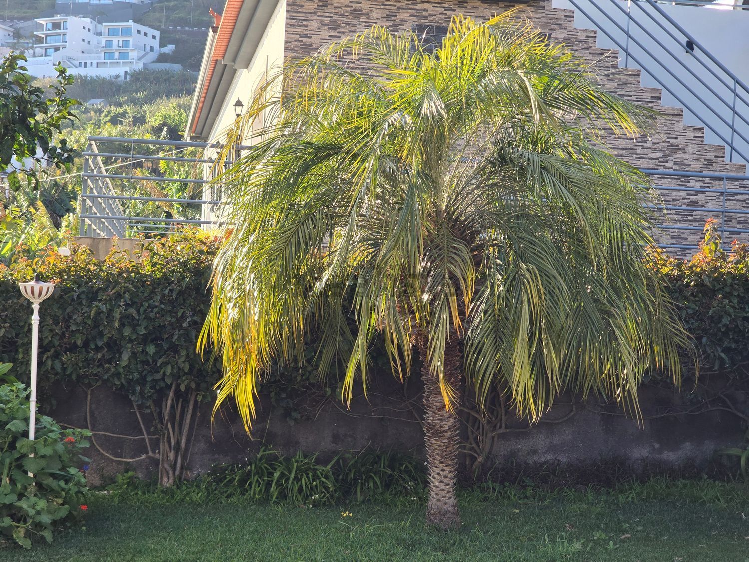 联排别墅出售在Rua do Vinhático, 5 - 花园