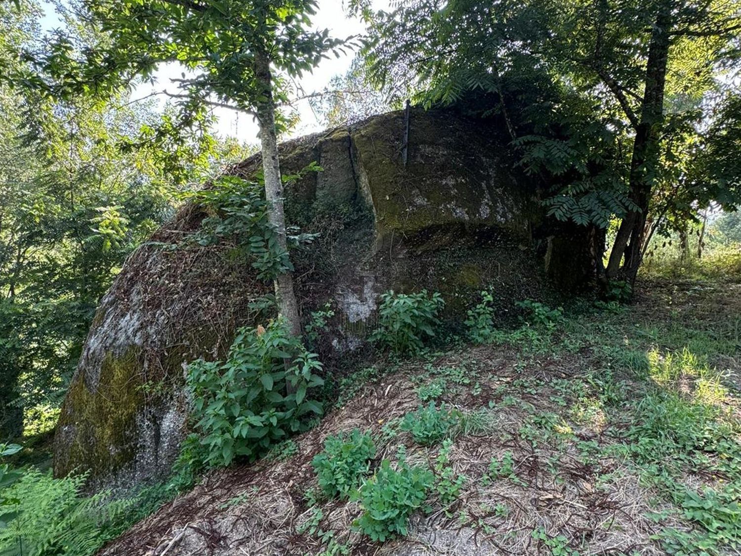 庄园出售在Rua Costa Grande de Cima, 100 - 花园