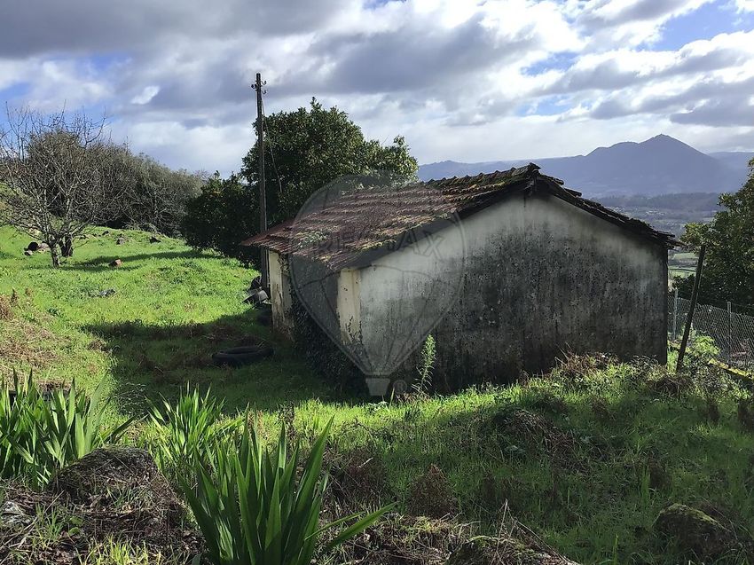 小楼房或独栋别墅出售在Vale de Bouro