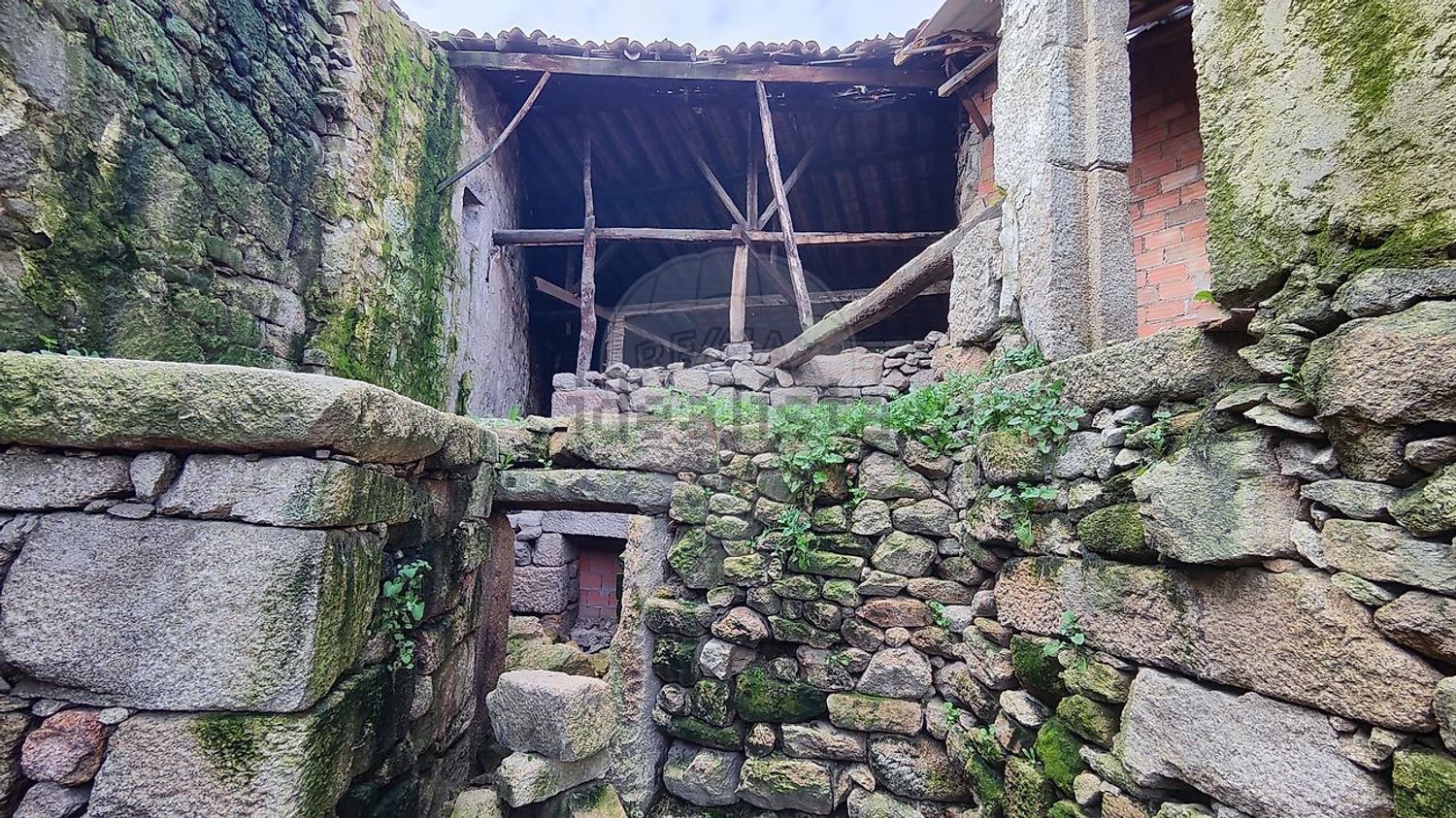 小楼房或独栋别墅出售在Rua Nossa Senhora da Vitória - 花园