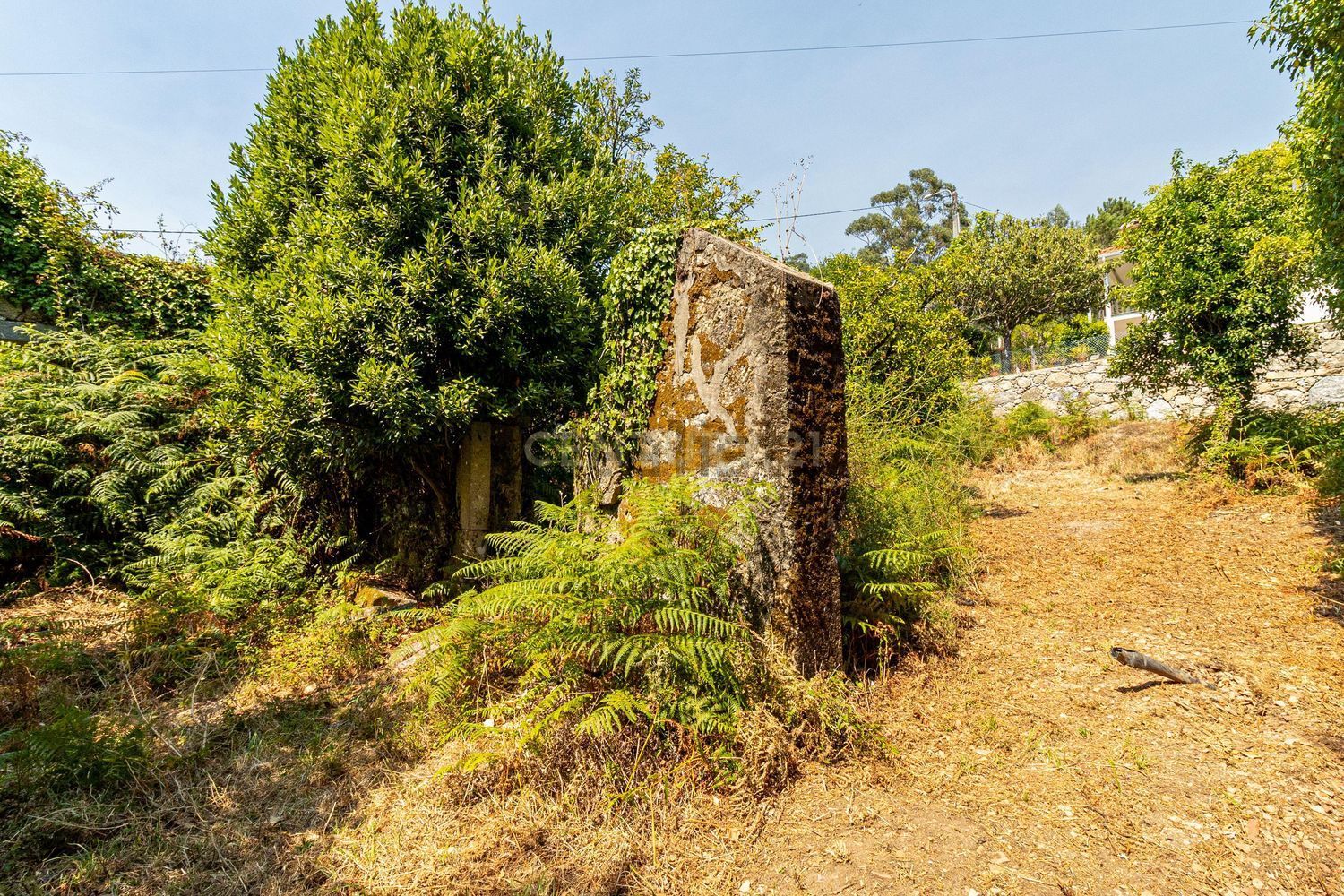 小楼房或独栋别墅出售在Rua de Barreiros, 423 - 花园