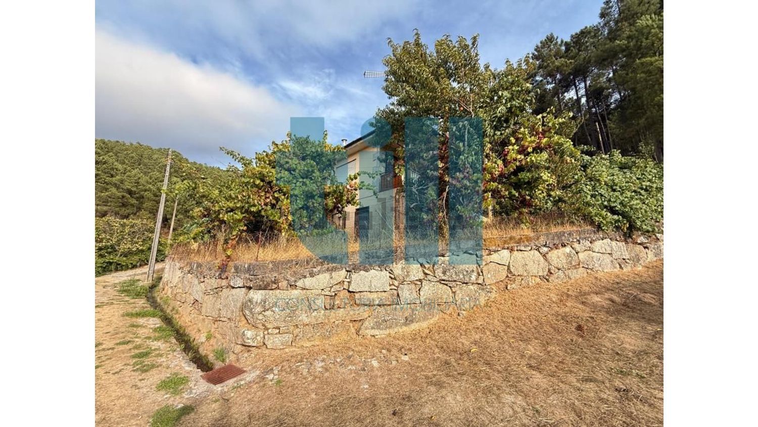 小楼房或独栋别墅出售在 Vila Pouca de Aguiar - 花园