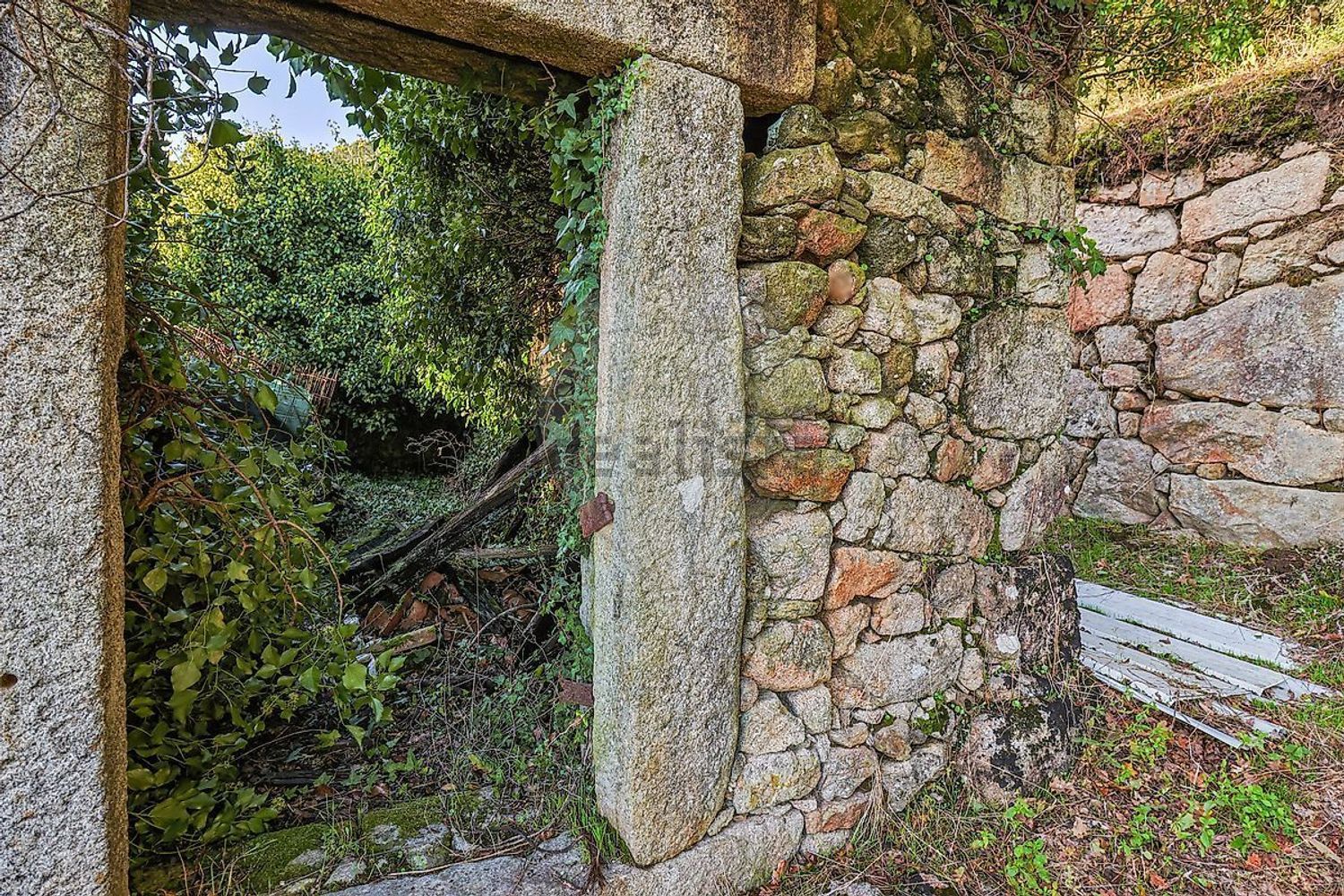 小楼房或独栋别墅出售在Rua da Capela de São Sebastião - 花园