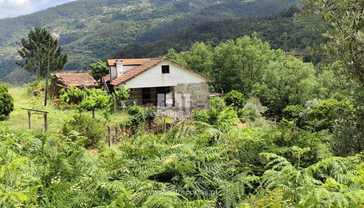 乡间楼房出售在 Sande e São Lourenço - 外立面