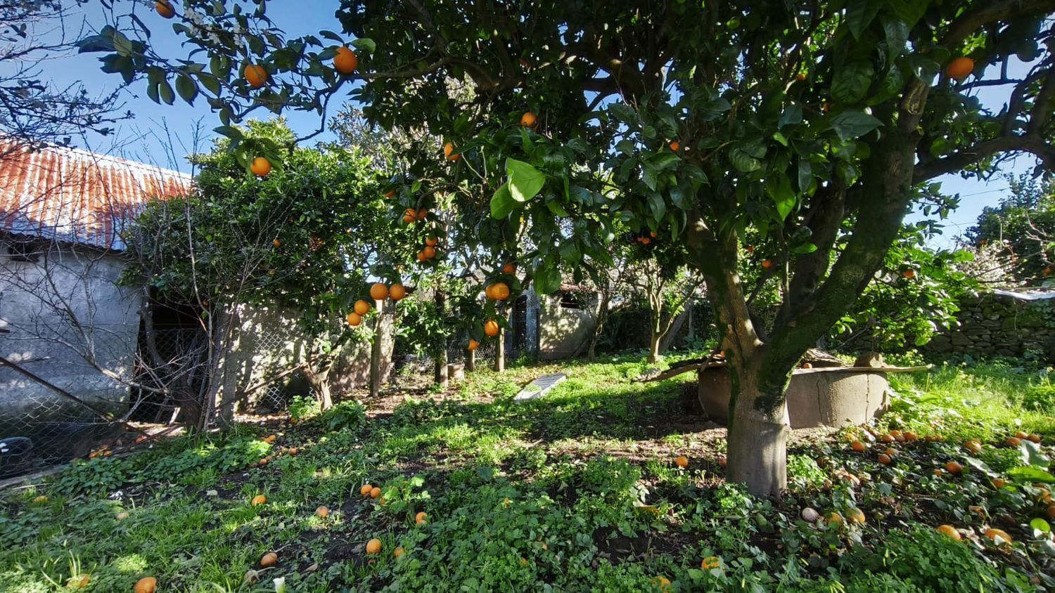小楼房或独栋别墅出售在 Santa Marta de Portuzelo - 花园