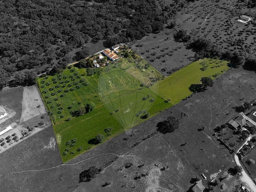 庄园出售在 Fazenda Da Chupeta, 7050-001, Nossa Senhora da Vila, Nossa Senhora do Bispo e Silveiras, Montemor-o-Novo, Évora s/n