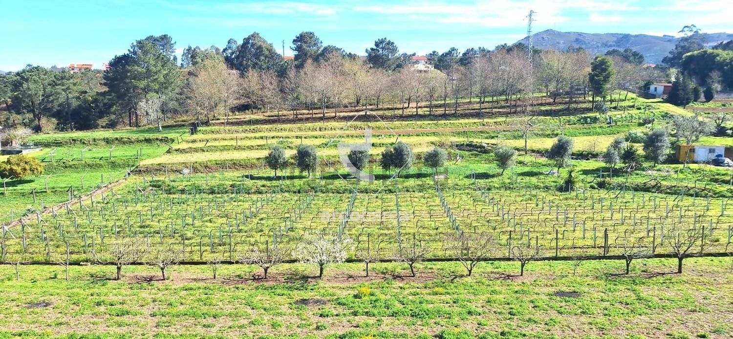 小楼房或独栋别墅出售在Rua da Aboboreira s/n - 花园