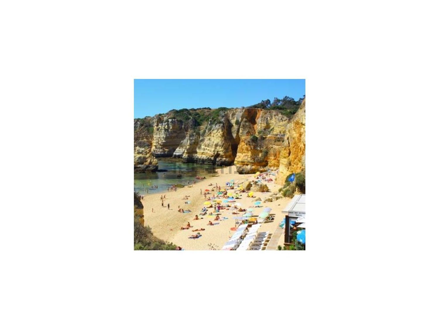 公寓 t3出售在Rua Fernando Pessoa - 视线