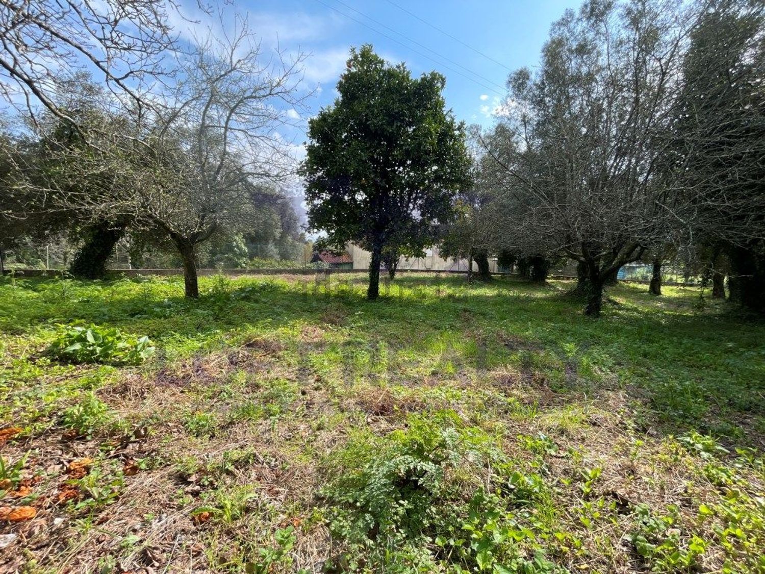 小楼房或独栋别墅出售在Caminho do Abrigueiro, 276 - 花园