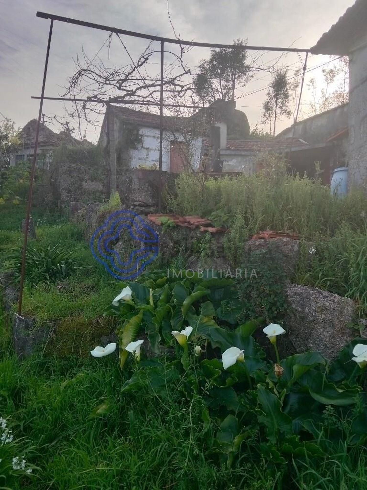 农庄出售在Rua Bocas, 314 - 花园