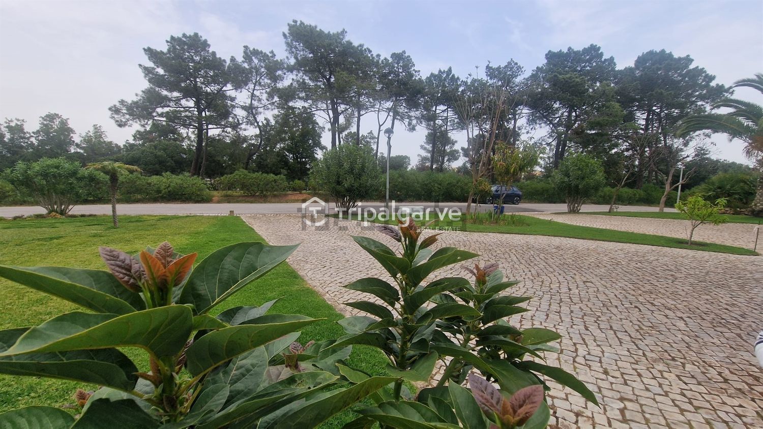 公寓 t4出售在 Quinta da Malata - 花园