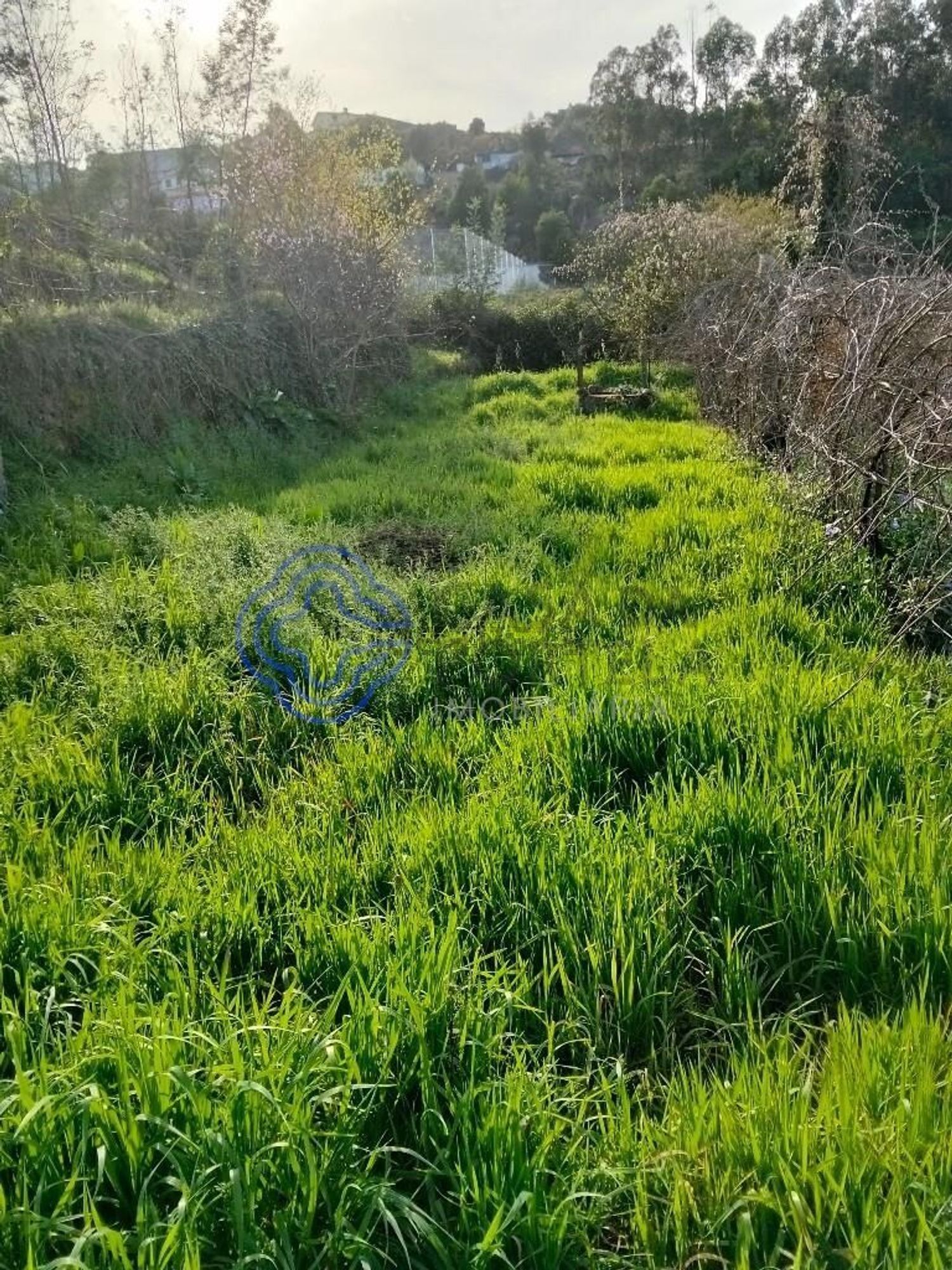 农庄出售在Rua Bocas, 314 - 花园