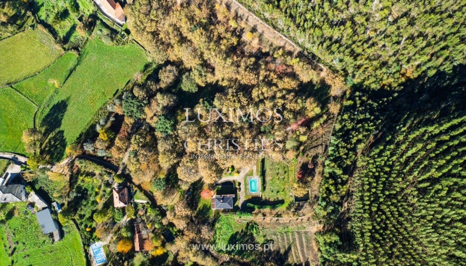 小楼房或独栋别墅出售在 São Miguel do Rio Torto e Rossio ao Sul do Tejo - 视线