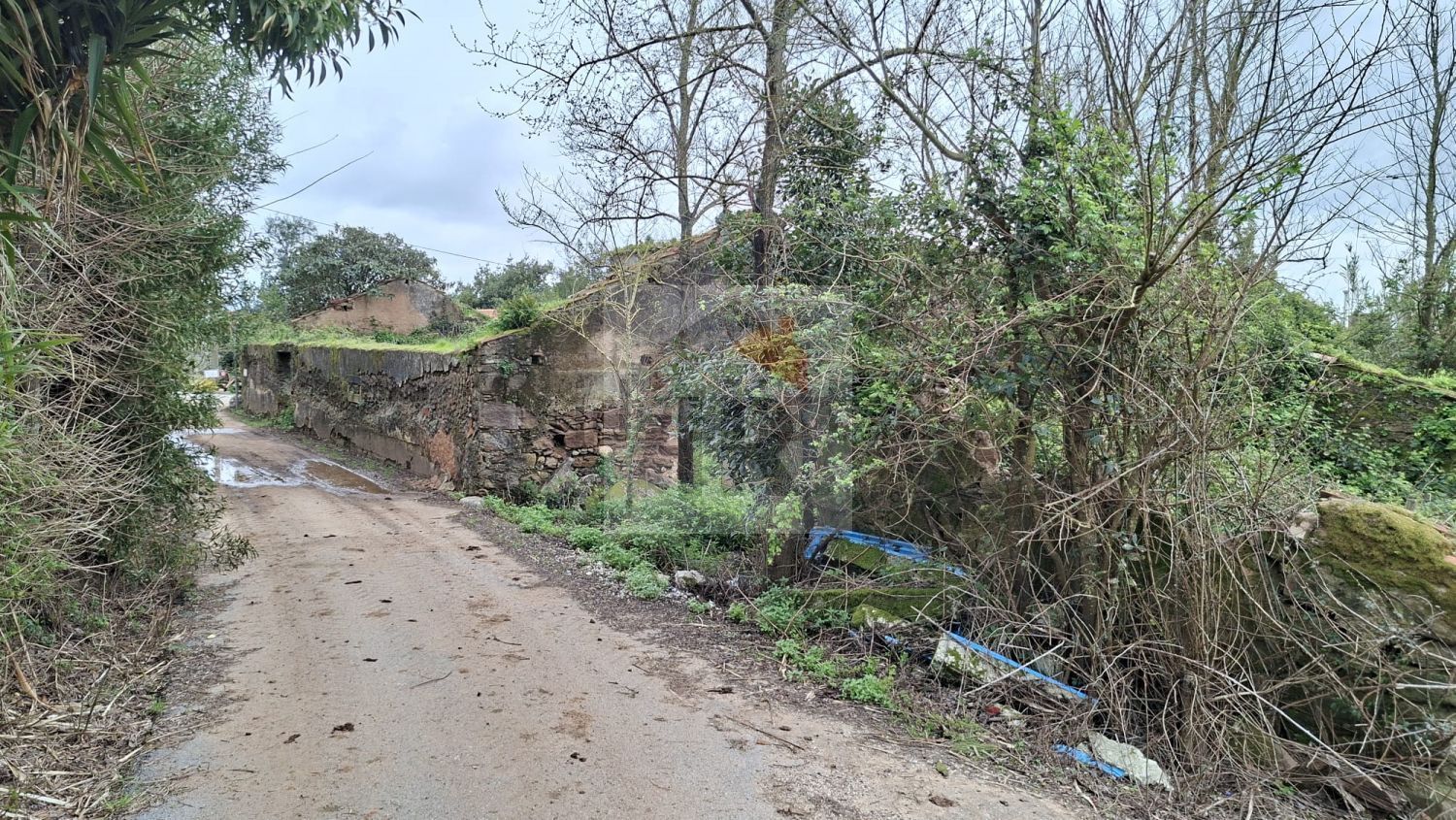 小楼房或独栋别墅出售在 Carvalhal Benfeito - 花园