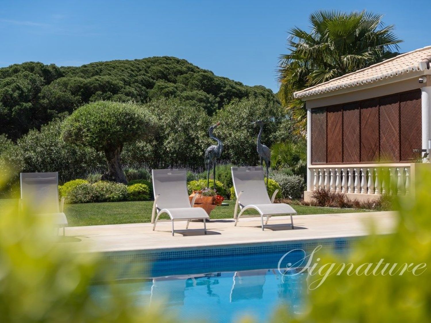 农庄出售在 The Village - Fonte Algarve - Quinta Verde - 游泳池
