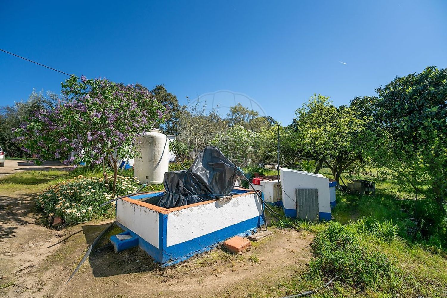 庄园出售在 Fazenda Da Chupeta, 7050-001, Nossa Senhora da Vila, Nossa Senhora do Bispo e Silveiras, Montemor-o-Novo, Évora s/n - 照片