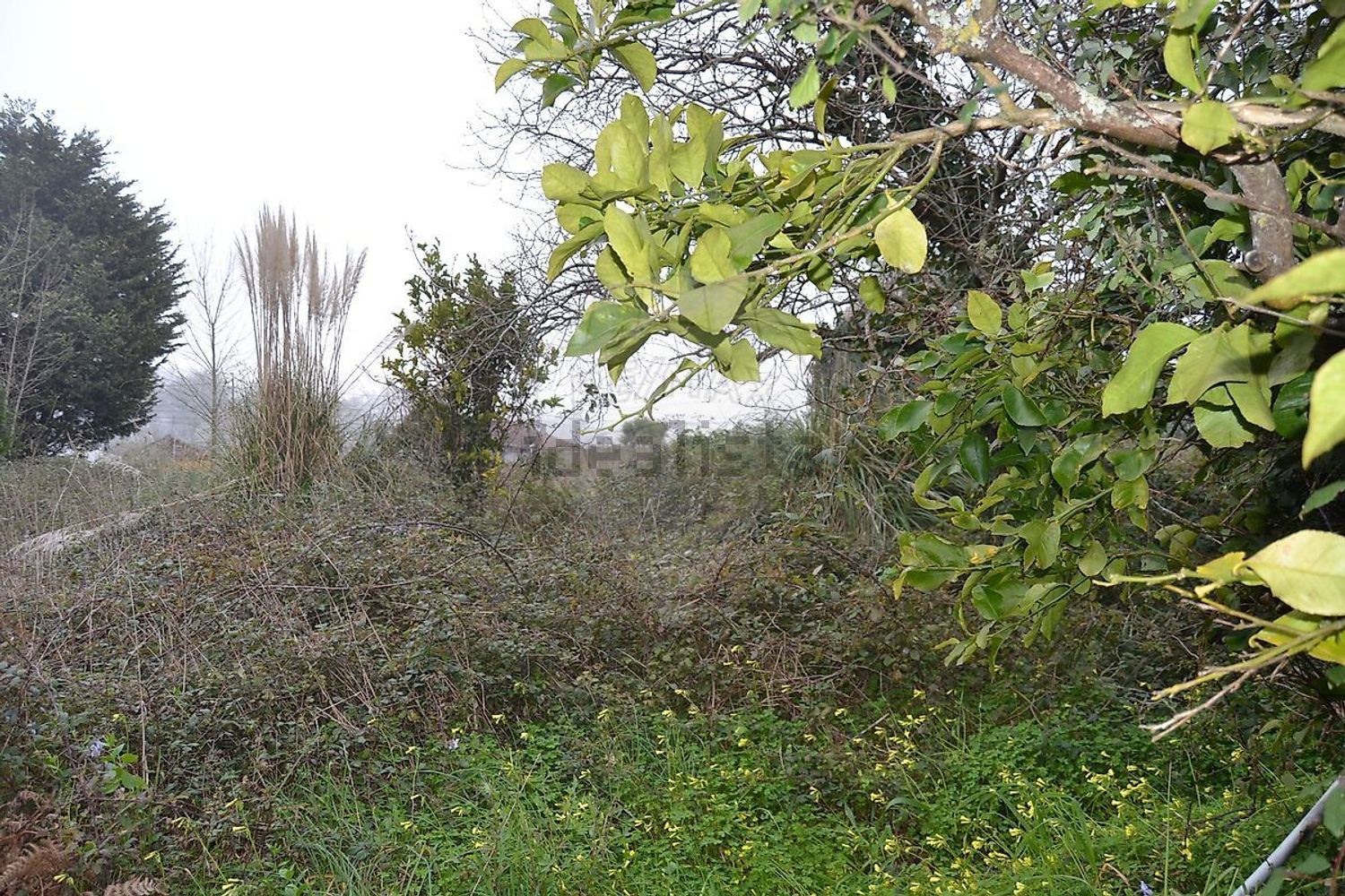 小楼房或独栋别墅出售在Rua Aldeia Sanfins, 26 - 花园