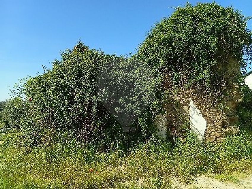 庄园出售在 Casal da Neta