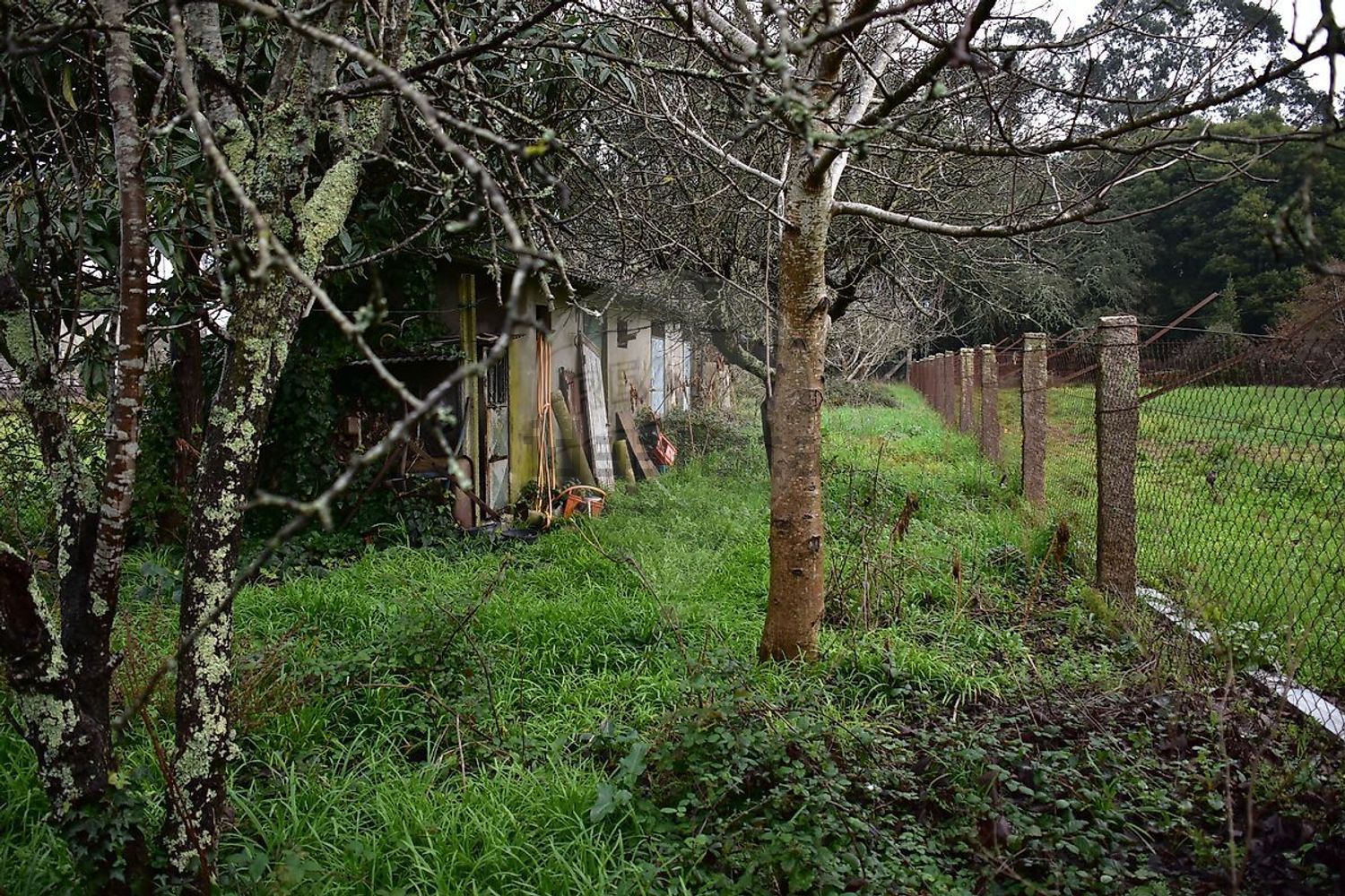 小楼房或独栋别墅出售在 Urbanização Santa Luzia - 花园