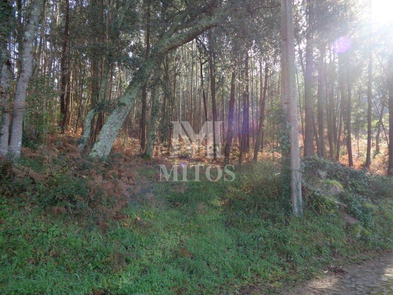 小楼房或独栋别墅出售在 Vilar de Mouros - 花园