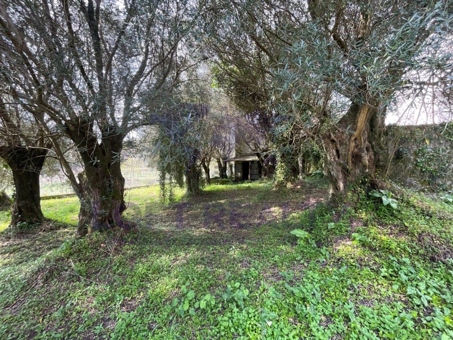 小楼房或独栋别墅出售在Caminho do Abrigueiro, 276 - 花园