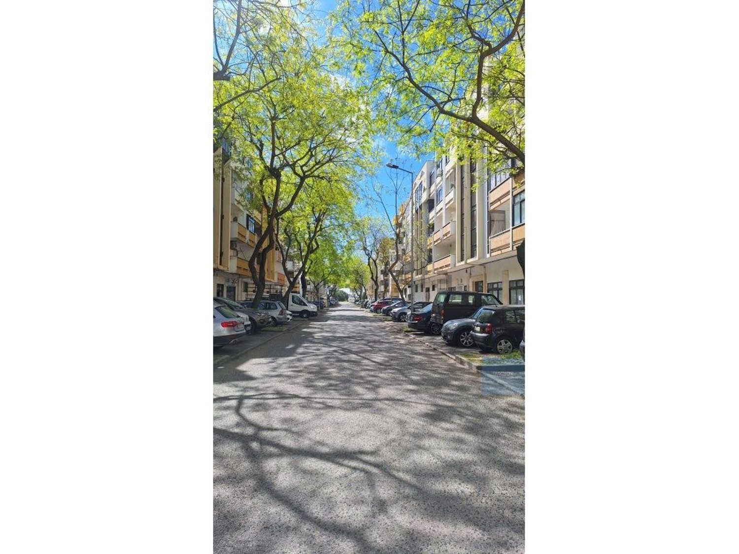 公寓 t2出售在Rua Manuel Silvestre da Costa, 5 b - 视线