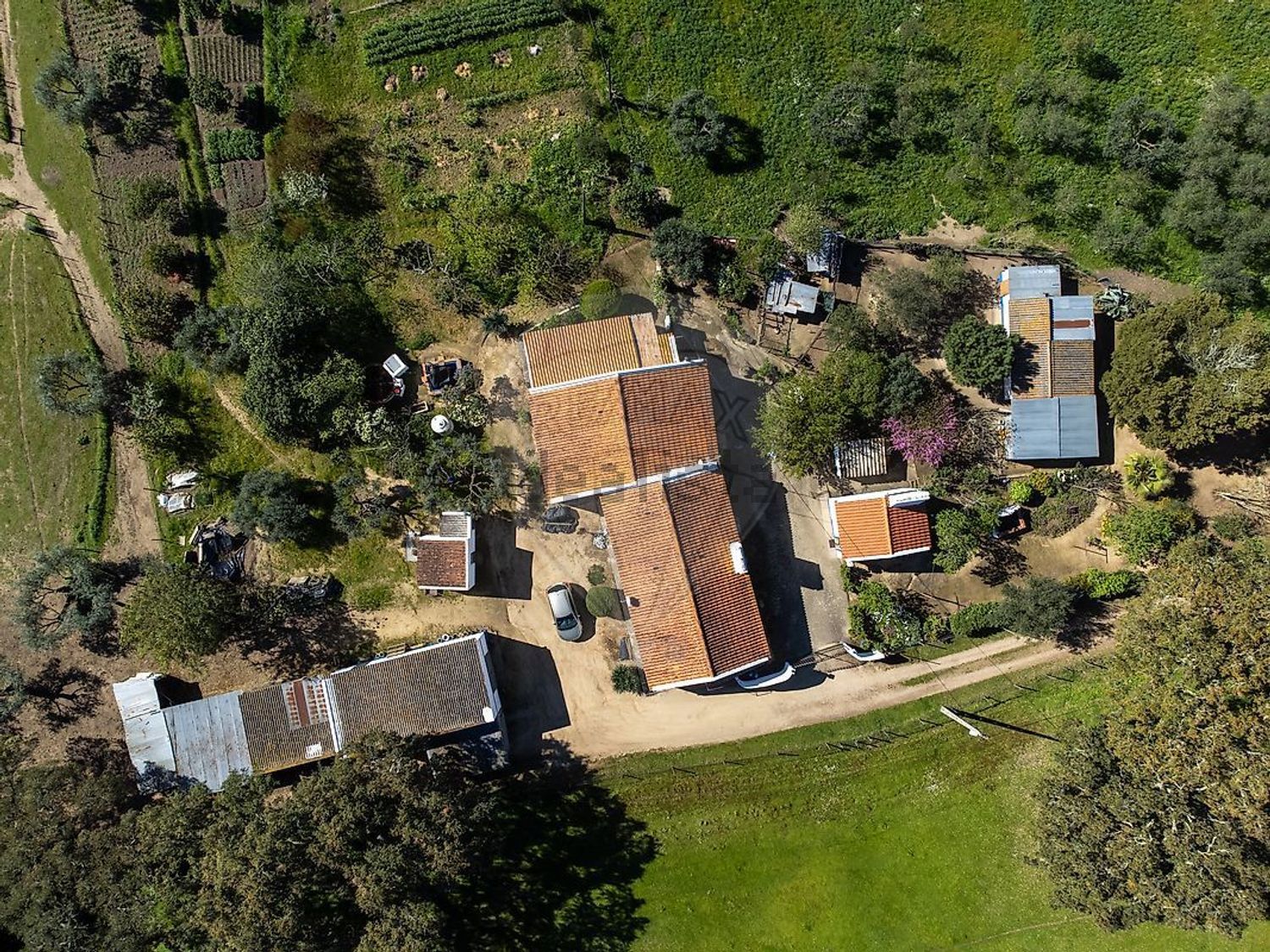 庄园出售在 Fazenda Da Chupeta, 7050-001, Nossa Senhora da Vila, Nossa Senhora do Bispo e Silveiras, Montemor-o-Novo, Évora s/n - 照片