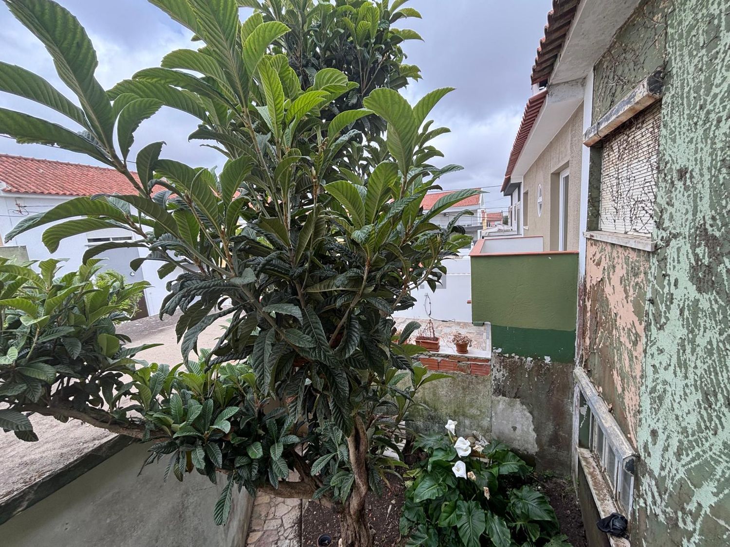 联排别墅出售在Avenida Dom Afonso Henriques, 3 - 外立面