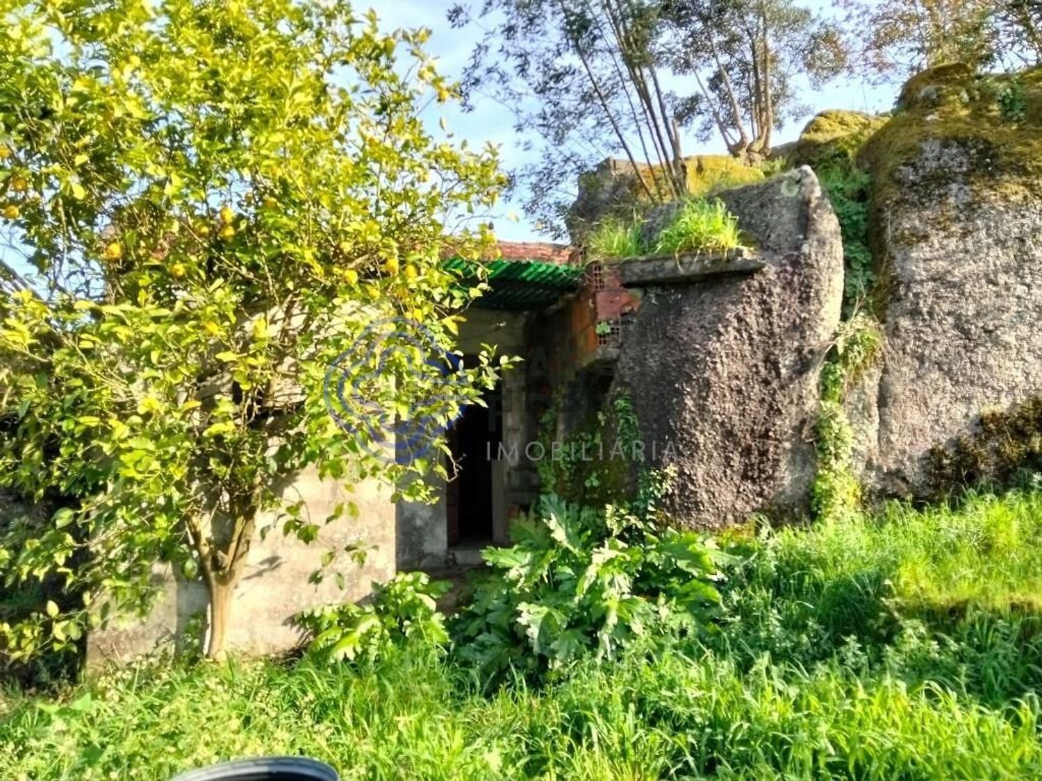 农庄出售在Rua Bocas, 314 - 花园