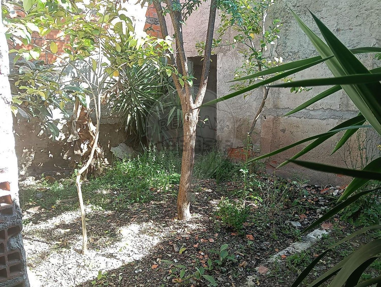小楼房或独栋别墅出售在Rua de São José - 花园