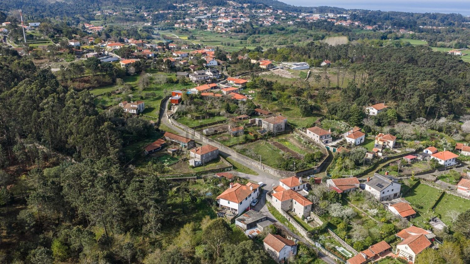 庄园出售在Rua de Santa Luzia - 照片