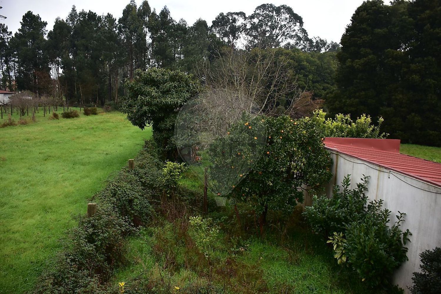 小楼房或独栋别墅出售在 Urbanização Santa Luzia - 花园