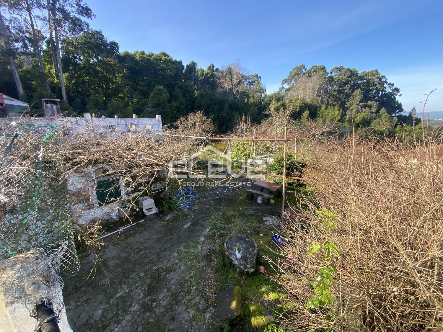 小楼房或独栋别墅出售在 Venade e Azevedo - 花园